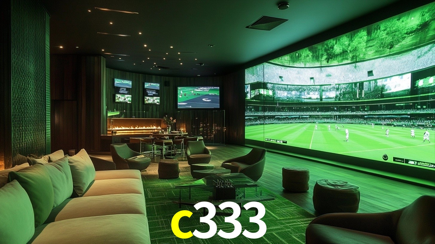 c333.com